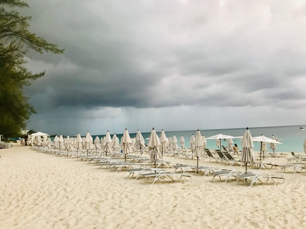 A Storm Is Coming by Lawrence Olive